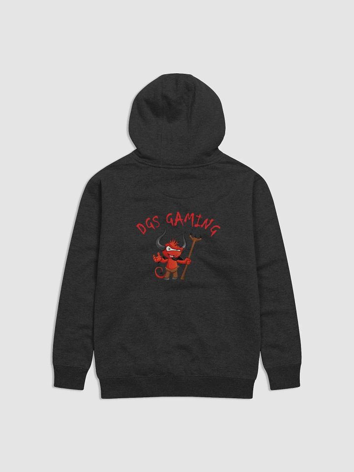 DGS hoodie with logo on back and front only product image (2)
