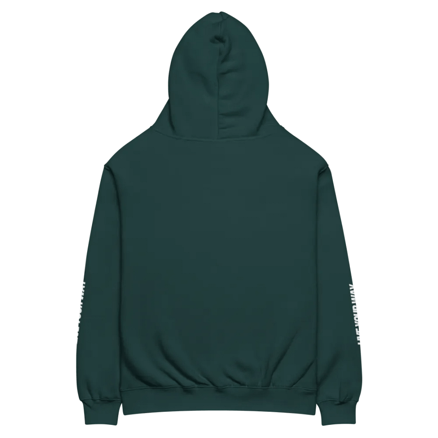 AS Colour Unisex Premium Oversized Hoodie | AI Design enjoy the coconut on the beach product image (5)