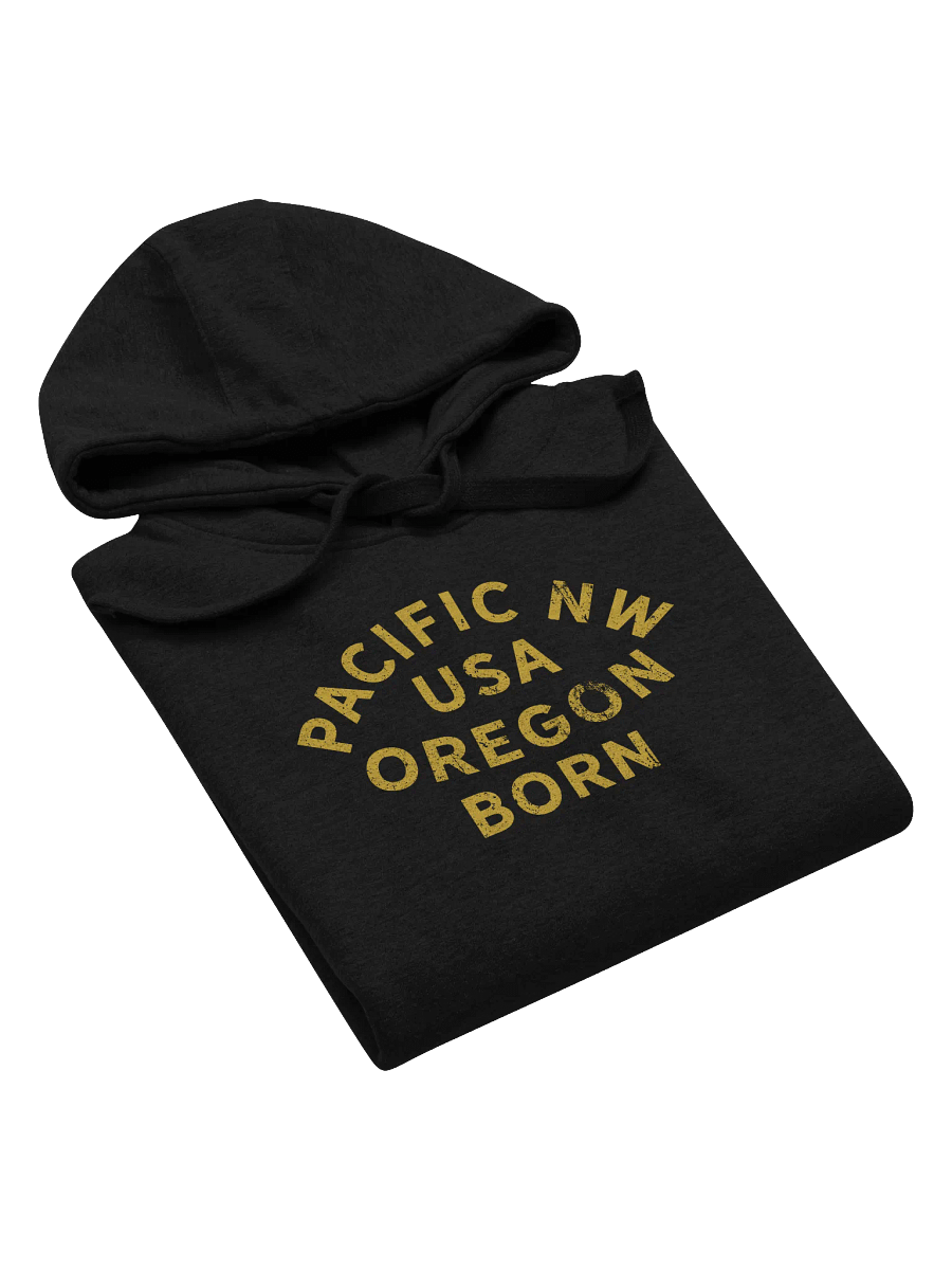 Pacific NW USA Oregon Born Hoodie product image (6)
