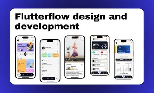 FlutterFlow Pro 6 Months Original License - Private Account product image (2)