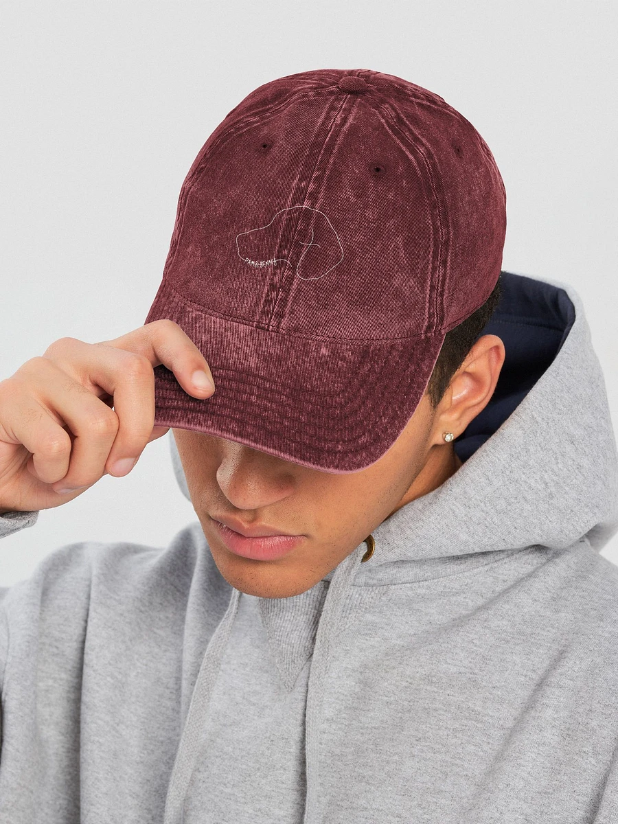 Pam & Benny's - Otto Vintage Wash Dad Hat product image (14)