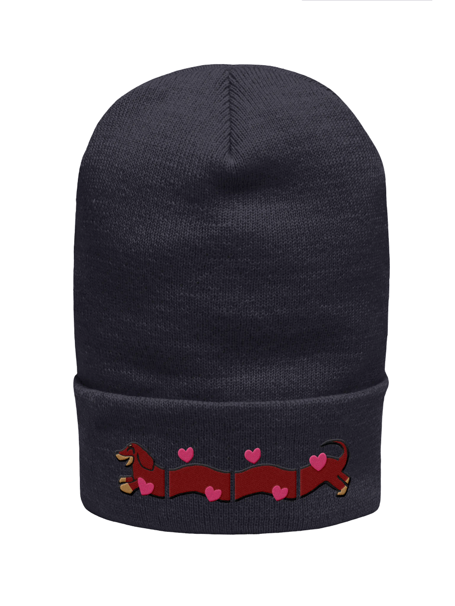 Longboy Beanie product image (16)