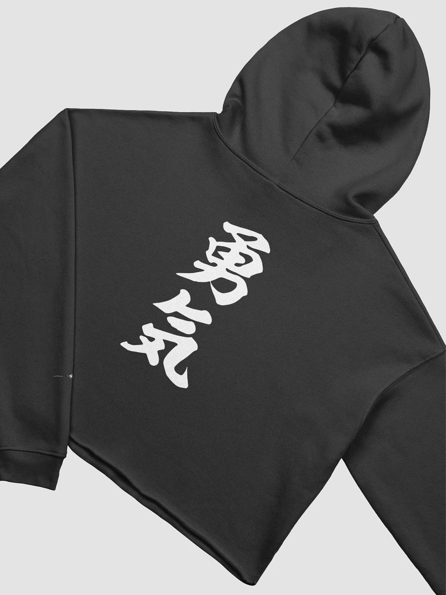 SAMURAI SPIRIT CROP HOODIE product image (4)