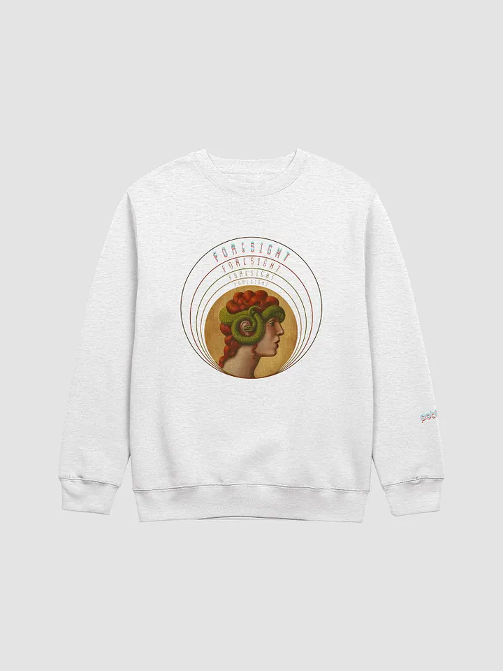 KASSANDRA FORESIGHT premium crewneck sweatshirt product image (5)