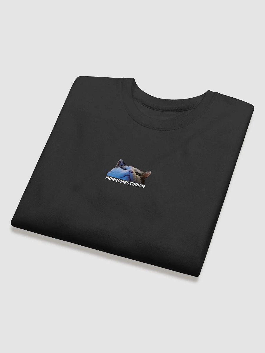 SHIRT - MONNOMESTBRIAN - UNISEX product image (2)