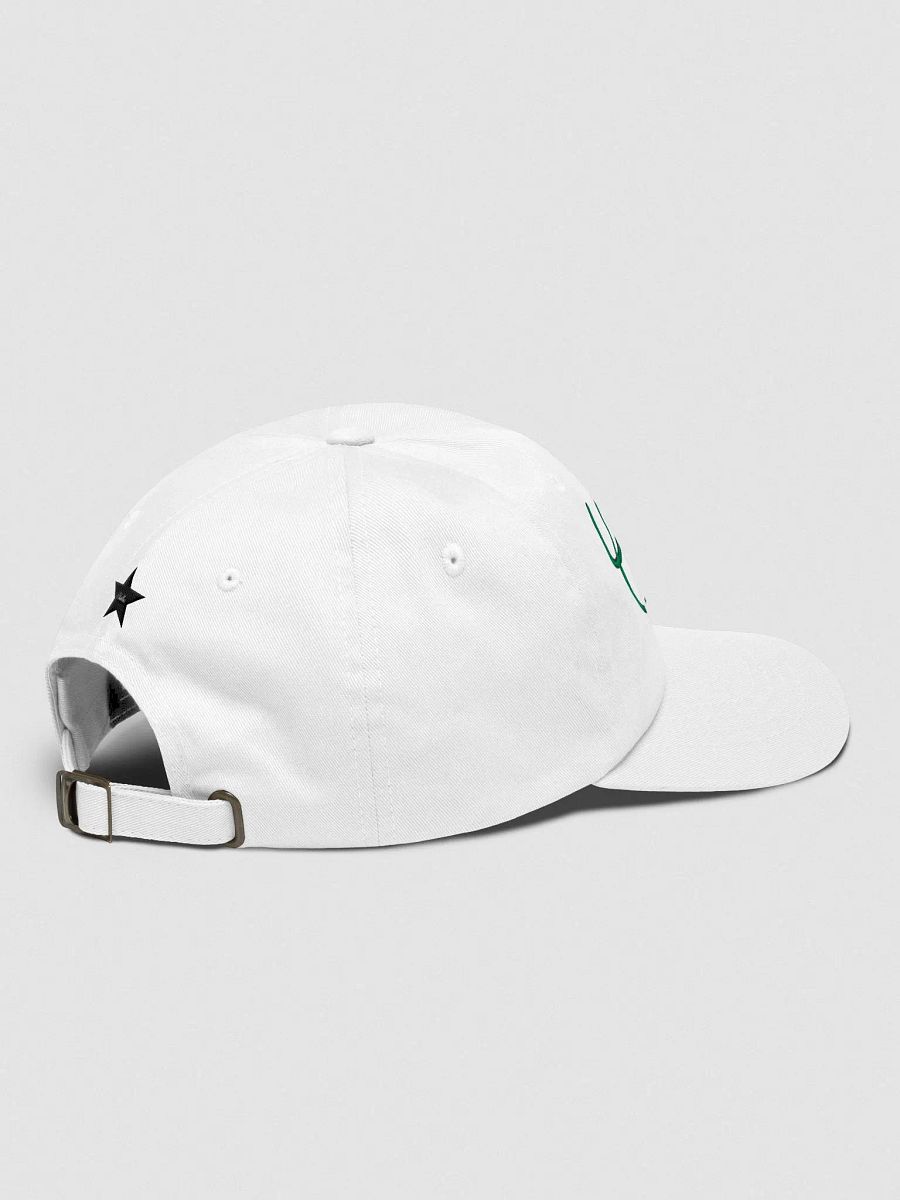 Gallus Hats Football Hats Celtic product image (4)