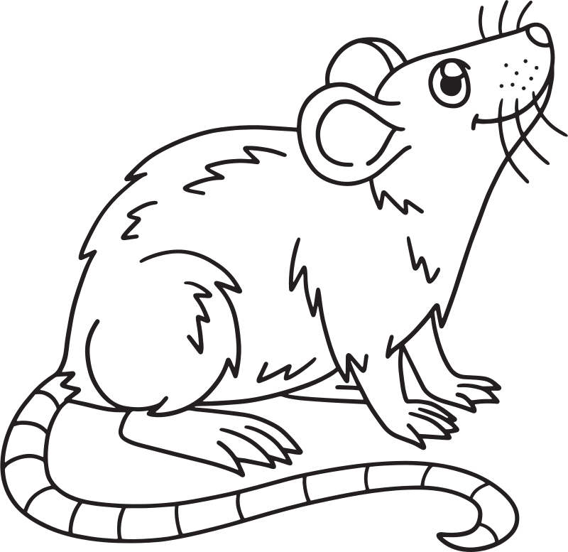 Animal Coloring Pages product image (2)