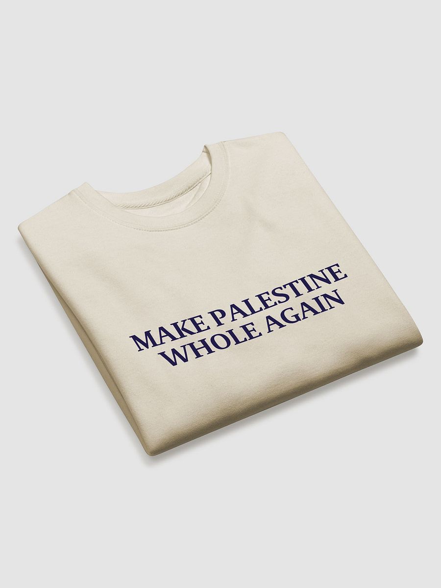 Make Palestine Whole Again sweatshirt product image (19)