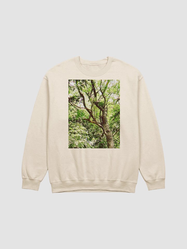 Earth tone DIVINE MUSIC sweatshirt product image (1)