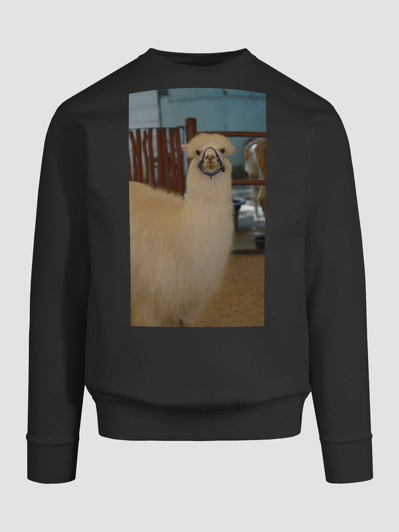 Andean Adventure Premium Sweatshirt product image (9)