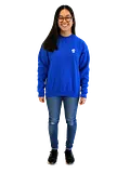 H5 Embroidered Logo Sweatshirt (Youth) product image (1)