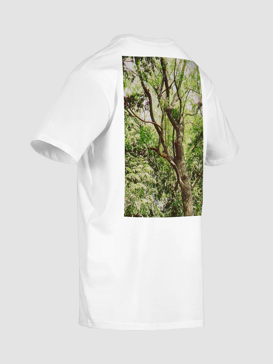 EARTH TONE DIVINE MUSIC TEE product image (8)