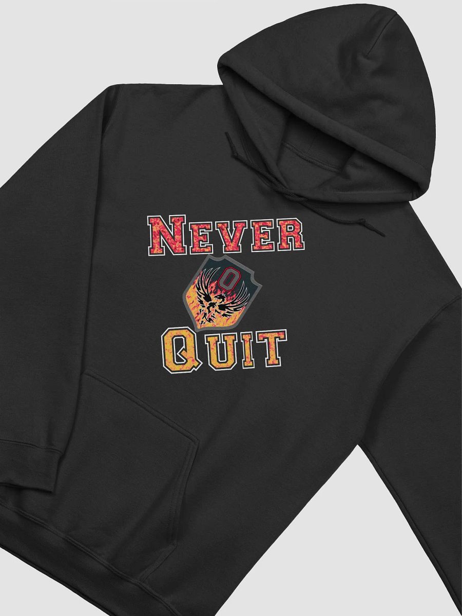 Work Hard, Never Quit product image (32)