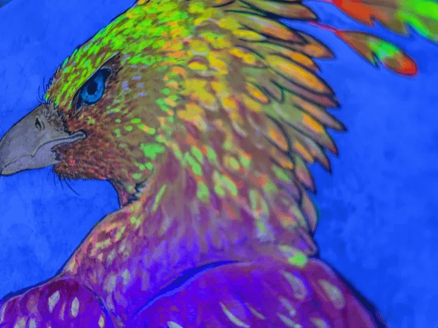 Phoenix product image (3)