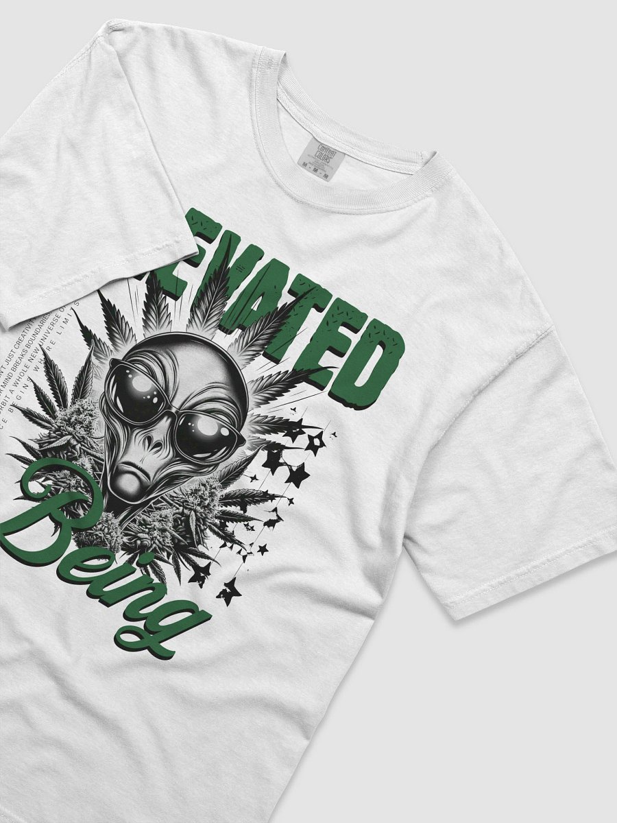 Men's Elevated Being T-Shirt product image (3)