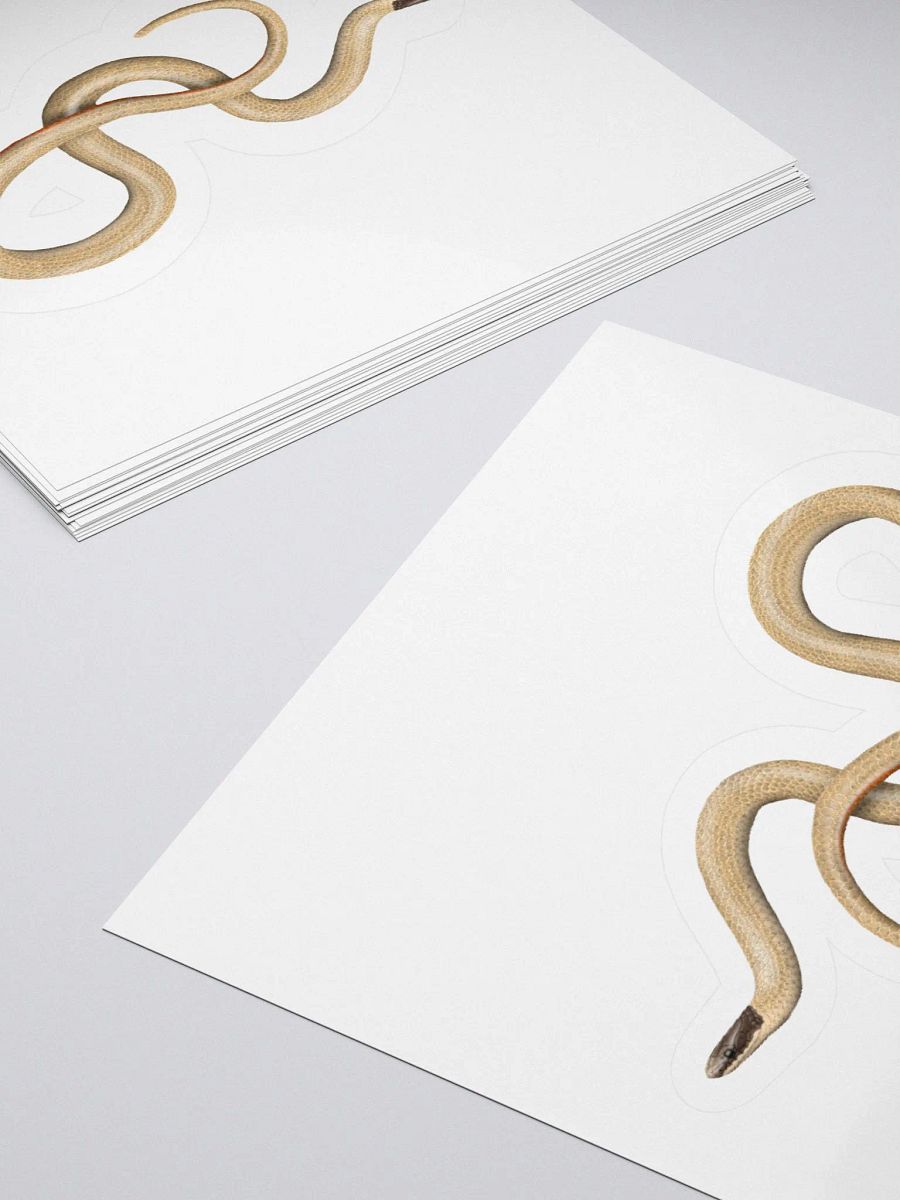 Die-Cut Sticker – Smith's Blackheaded Snake product image (10)