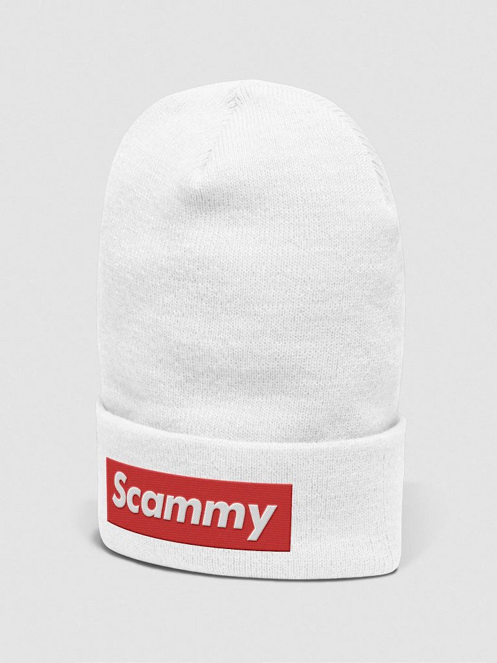 'Scammy' Beanie product image (2)
