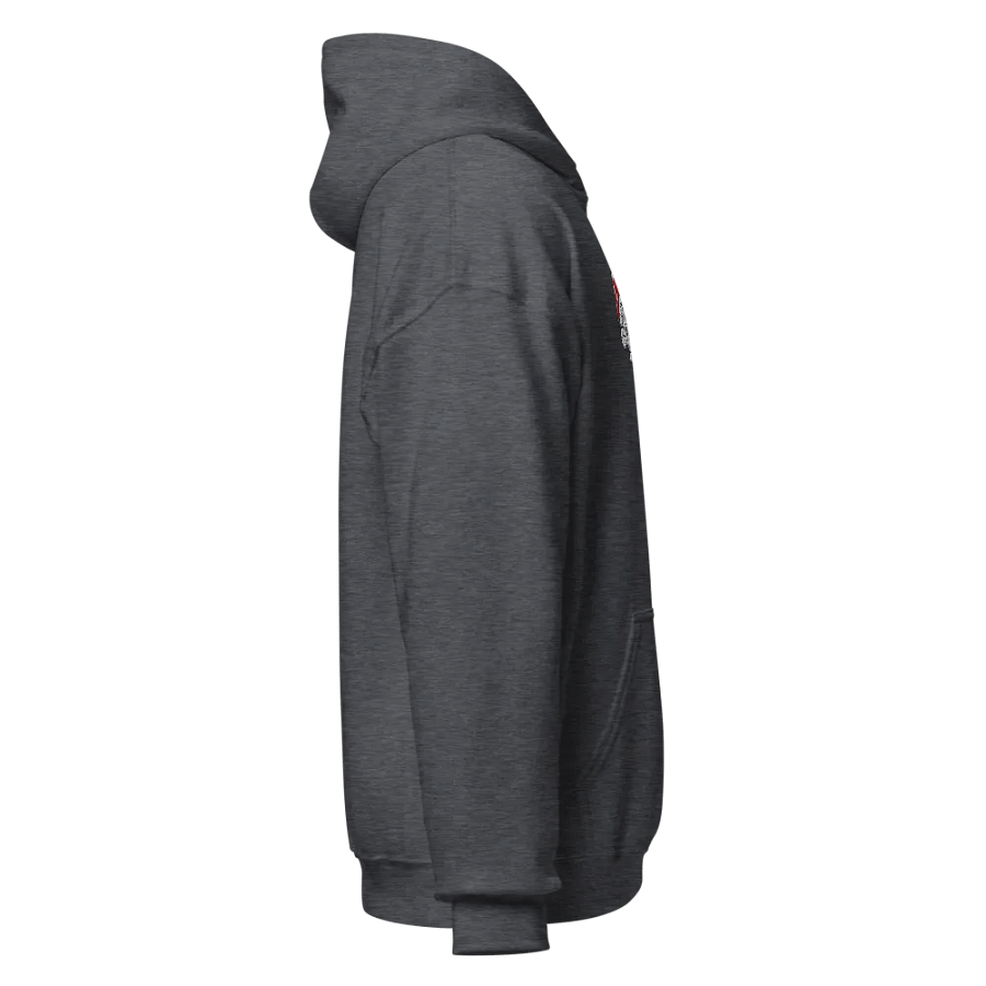 Alternative Asexual Pride Hoodie (4-5XL) product image (3)