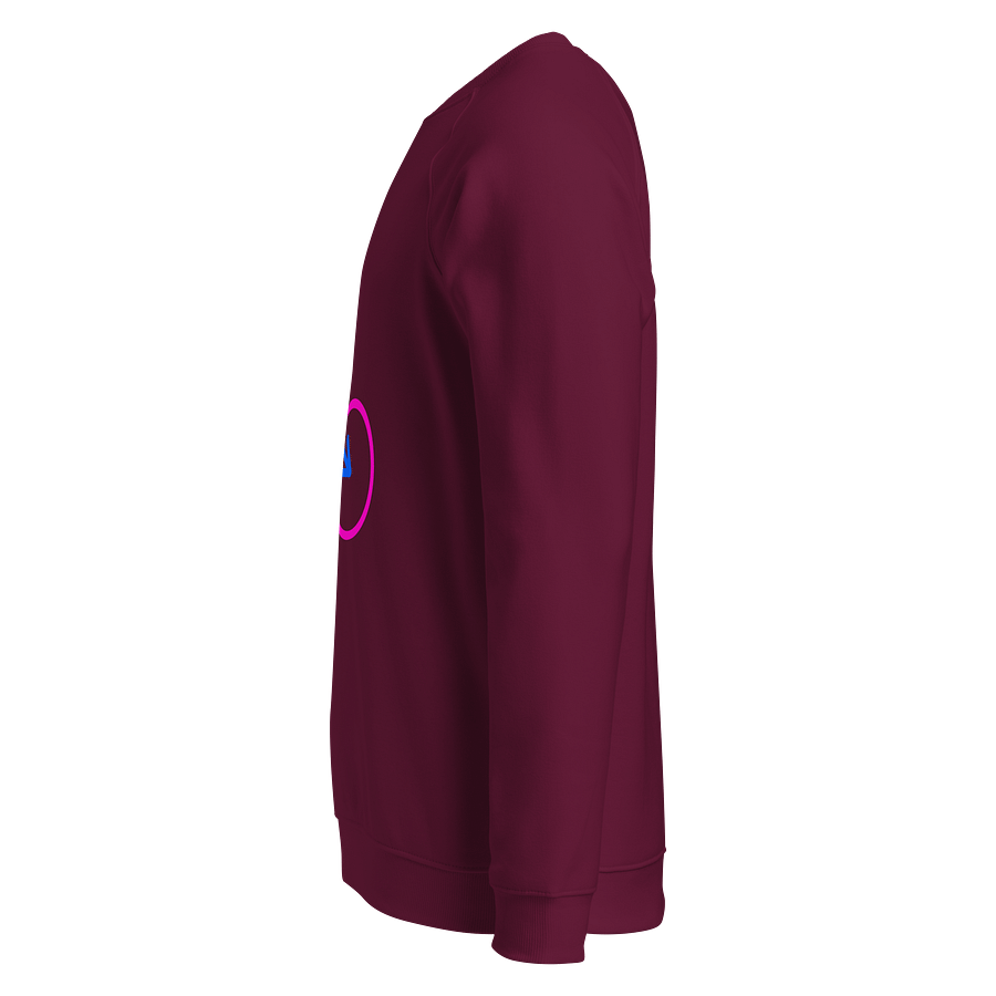Male & Female Genders Only Raglan Sweatshirt product image (3)