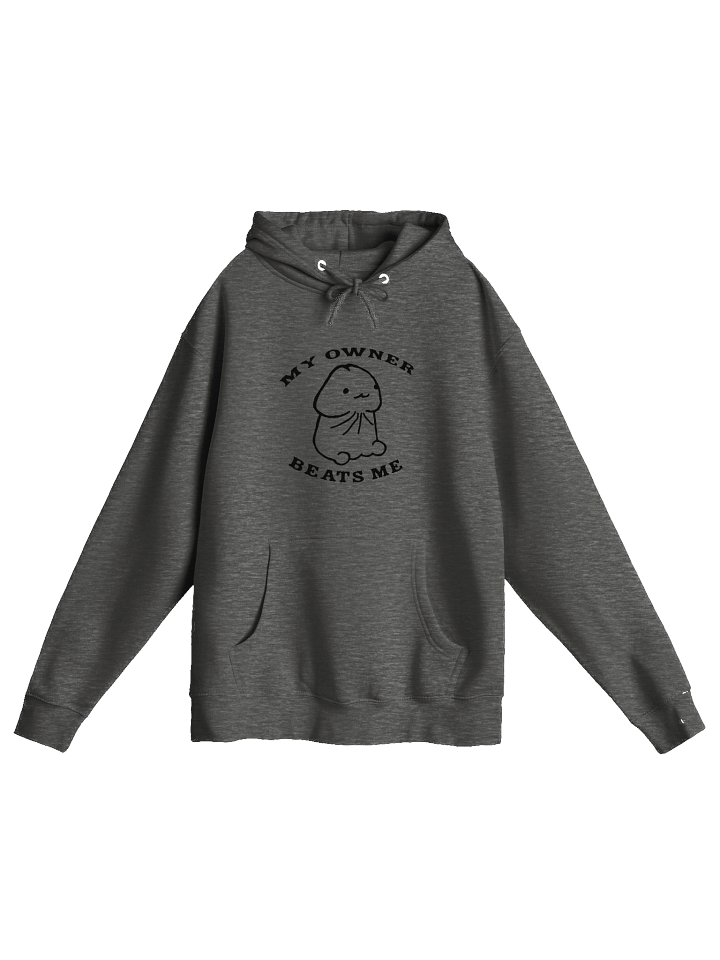 My Owner Beats Me Hoodie product image (3)