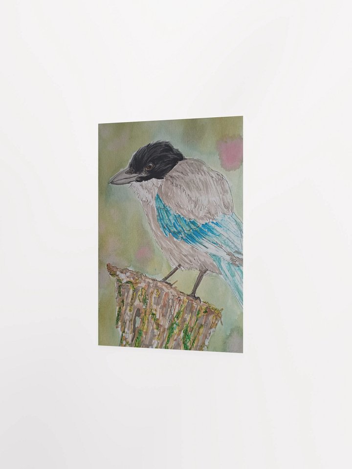 Corvid Series [10] Azure-winged Magpie poster print product image (2)