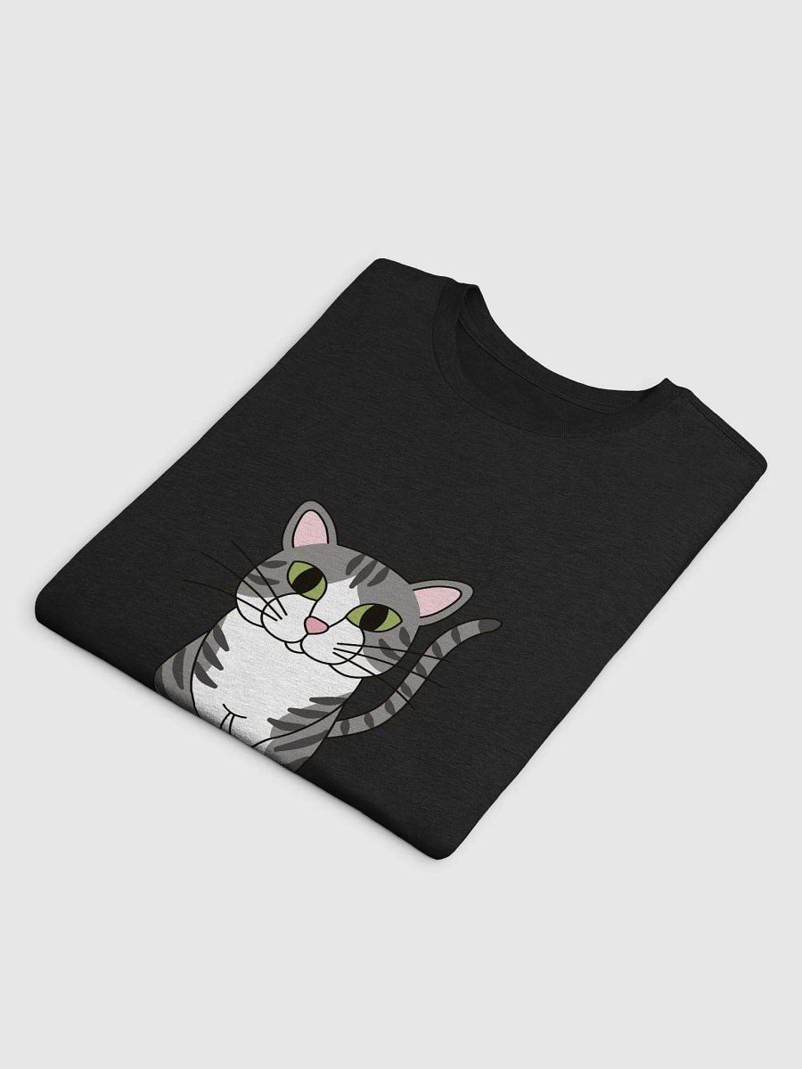 Tabby Cat Next Level T-Shirt product image (56)