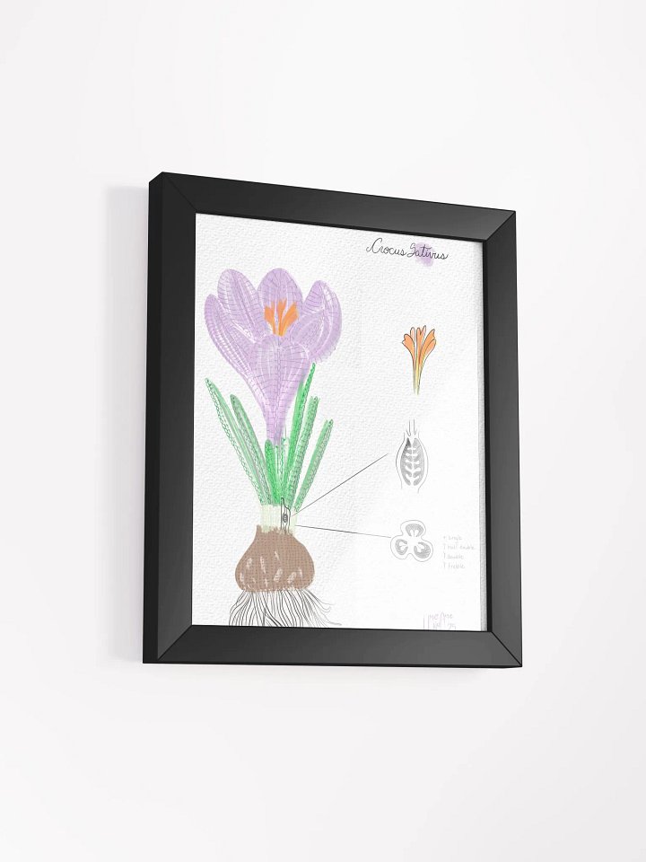 Crochet Vision: Crocus Framed Print product image (2)