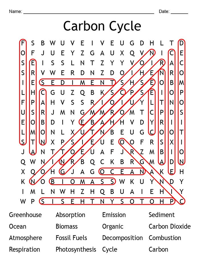 Printable Carbon Cycle Word Search – 16 Key Terms! product image (1)