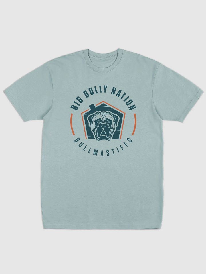 BBN Logo 2 Men's Tee product image (6)