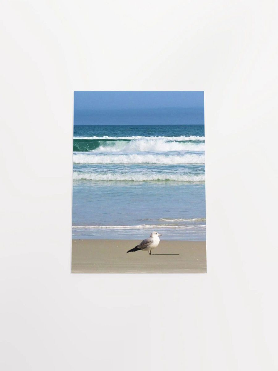 Beach Bird product image (52)