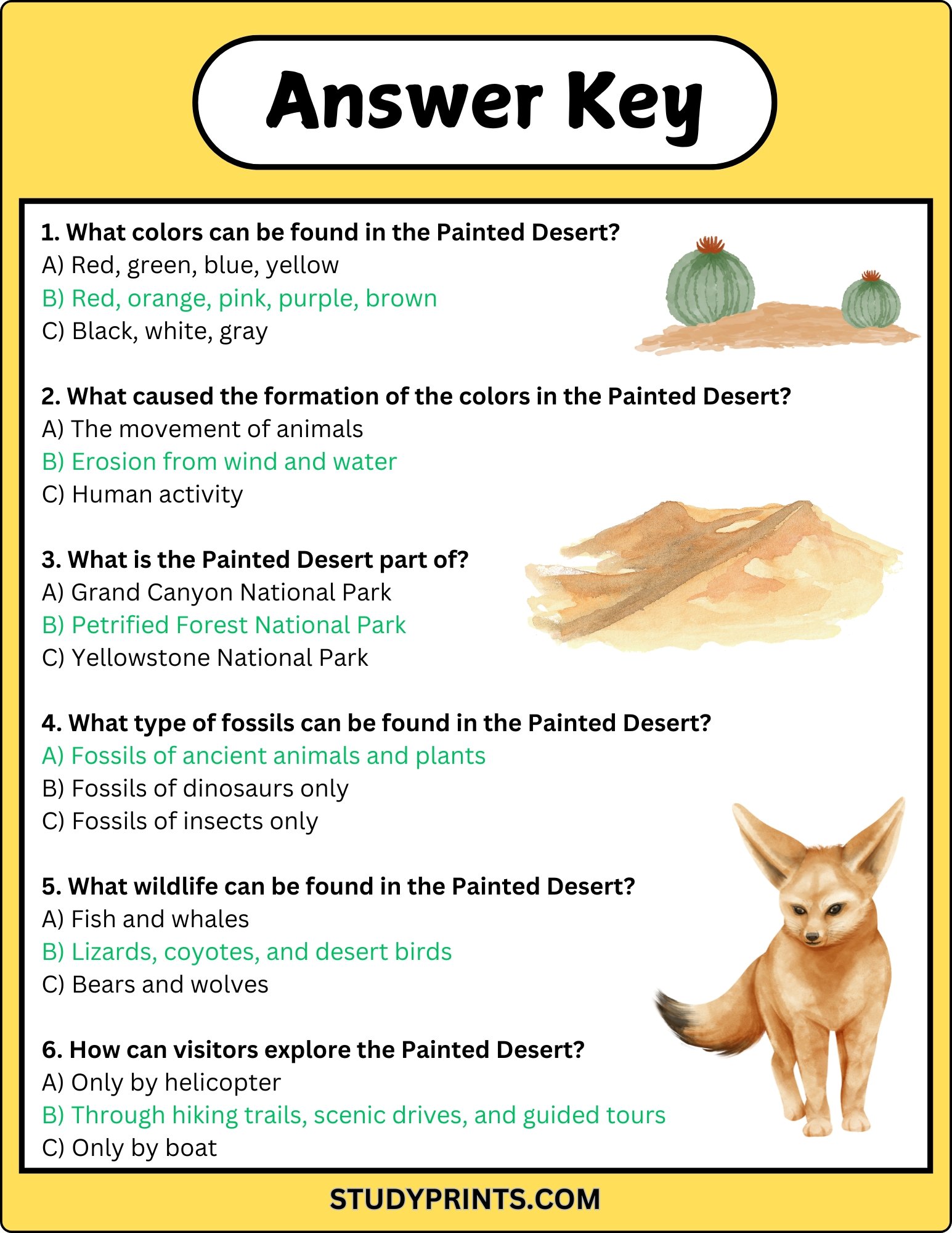 The Painted Desert Reading Comprehension Worksheet product image (4)