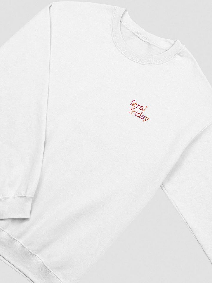 feral friday embroidered crewneck product image (13)