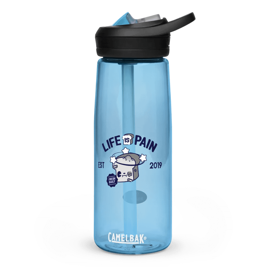 Life is Pain CamelBak product image (3)
