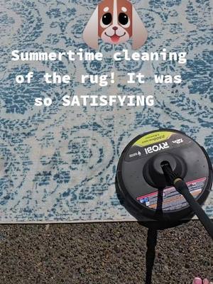 Having 3 dogs and liv8ng in a state where it rains 8 months of the year, THIS NEEDED TO BE DONE. #CLEANTHERAPY#doglife#scrubbingasmr 