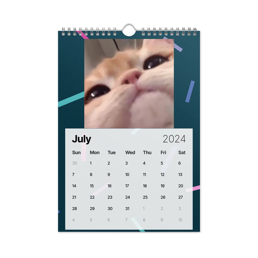 Wall Calendar (2024): Meme Cats product image (10)