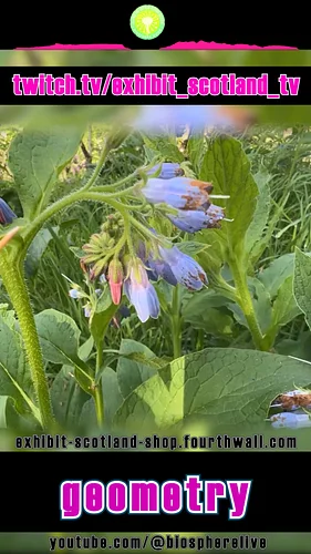 info...

Sign up to a membership subscription, get access to Exhibit Scotland products and merchandise https://exhibit-scotla...