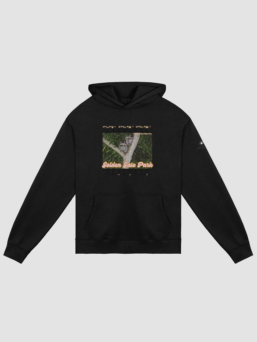 Golden Gate Park Raccoon Oversized Hoodie product image (1)