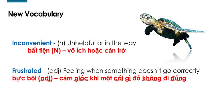 Ready to use Vietnamese IELTS Lesson plan I Subject 'ANNOYANCES' product image (2)