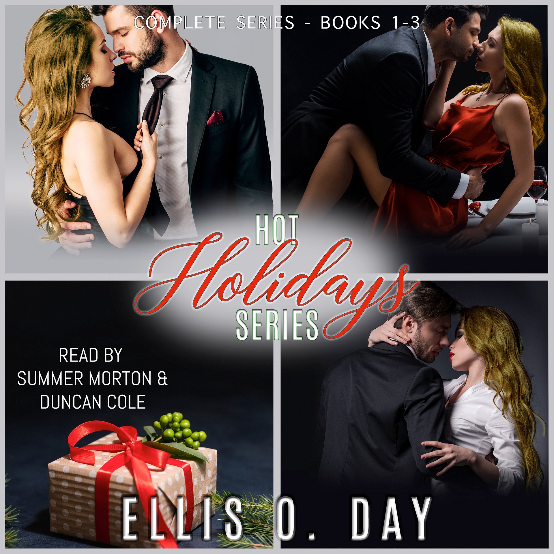 Hot Holidays Audiobook product image (1)