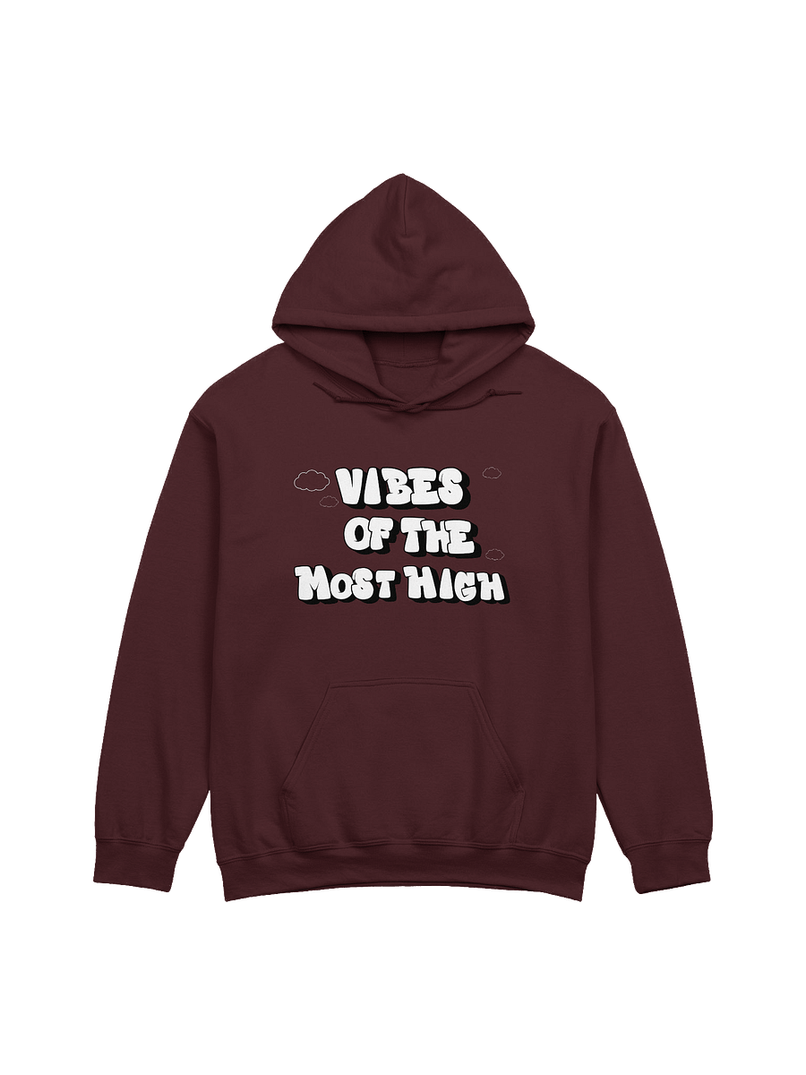 Vibes of the Most High Hoodie product image (3)