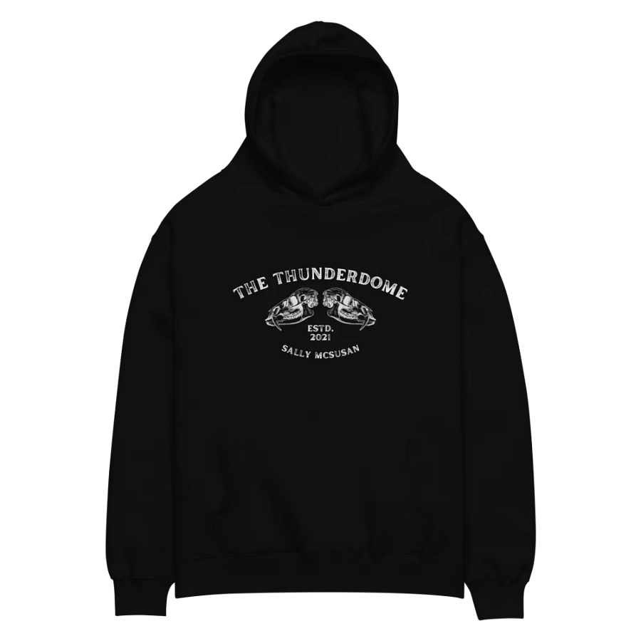 The Thunderdome Hoodie - Light Print product image (3)