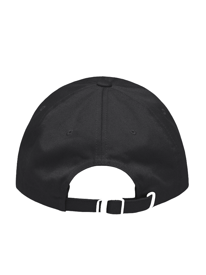 MrLlamaSC Hat product image (2)
