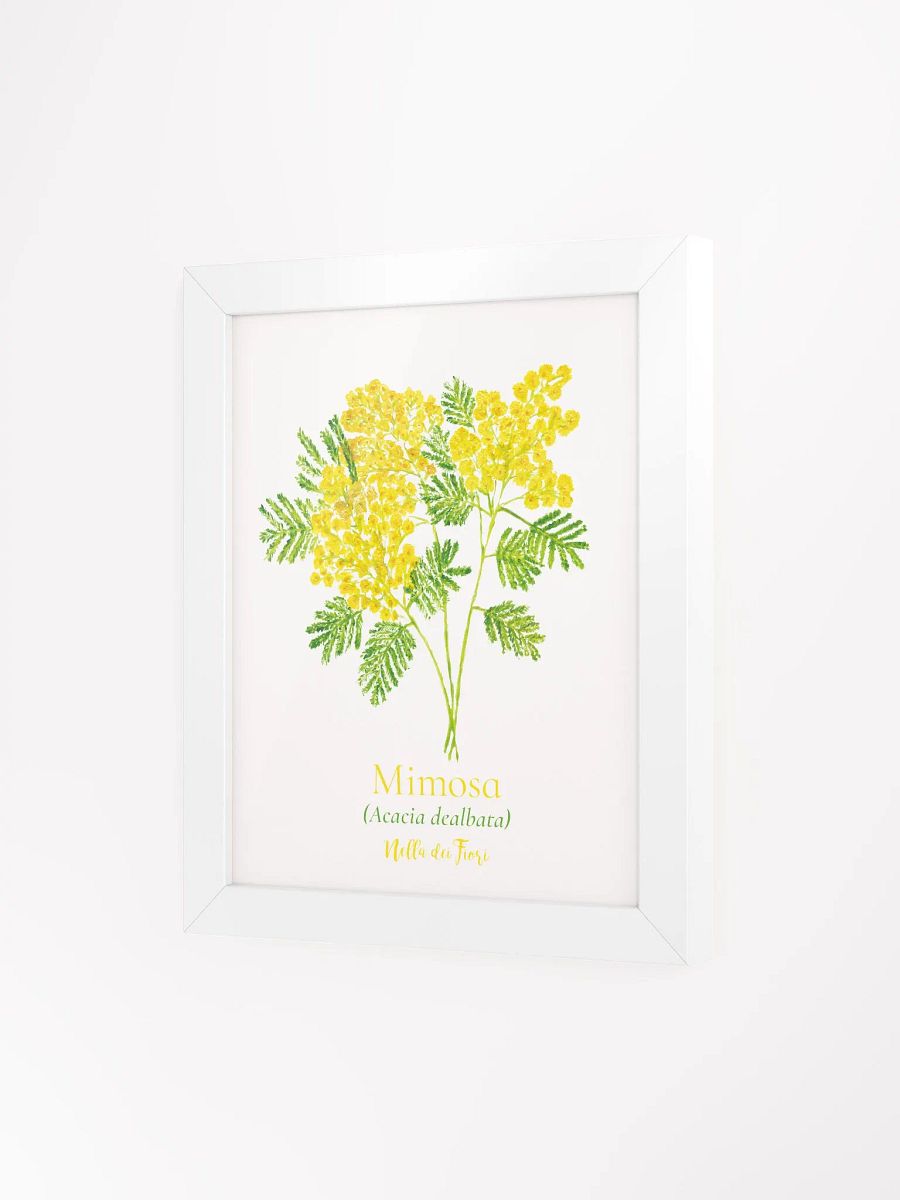 Mimosa Botanicus Frame product image (11)
