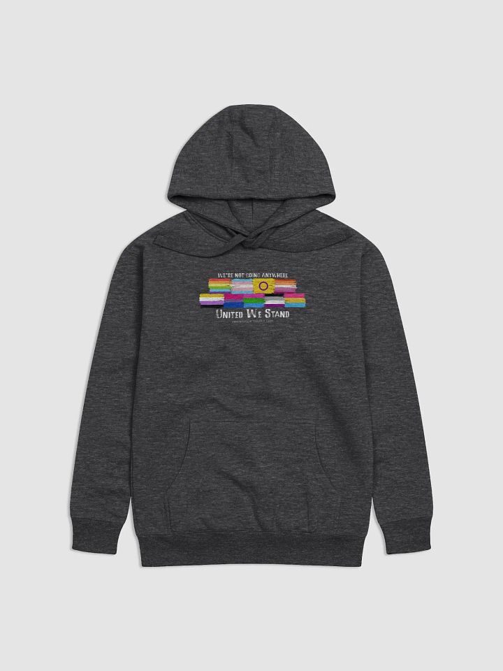 United We Stand - Hoodie product image (1)