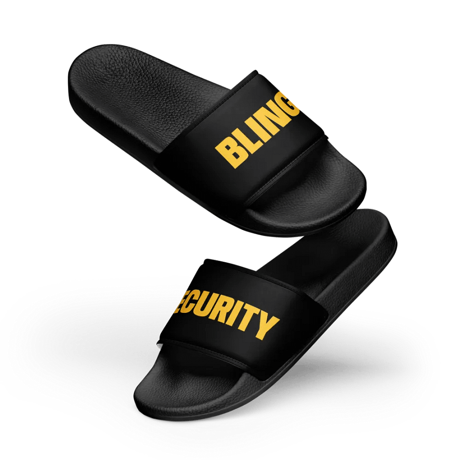Security Slides product image (11)