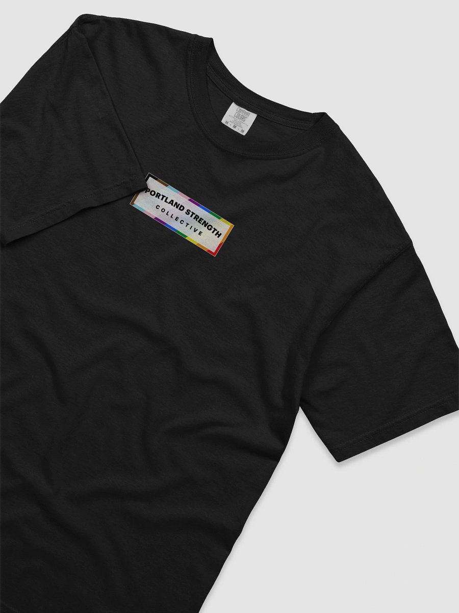 PSC Pride Shirt product image (3)