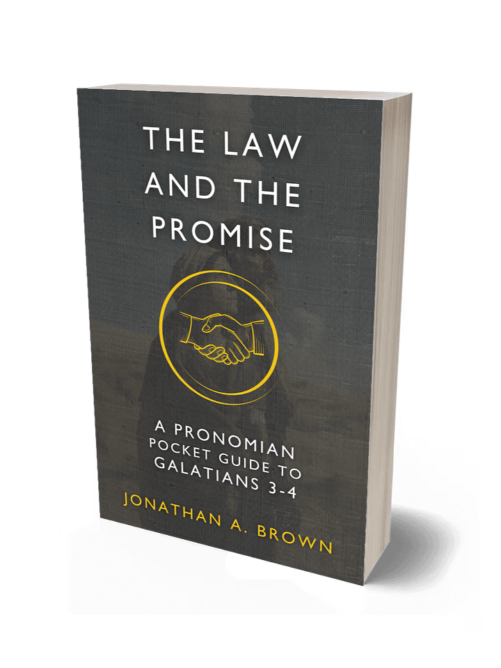 The Law and the Promise: A Pronomian Pocket Guide to Galatians 3–4 product image (1)