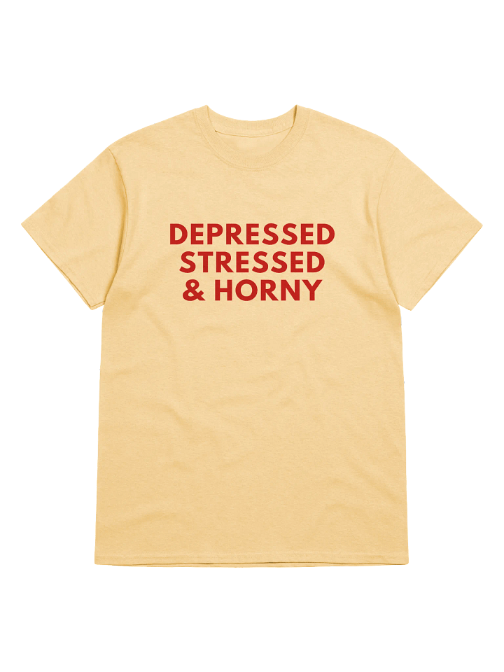 Depressed Stressed & Horny T-Shirt product image (1)