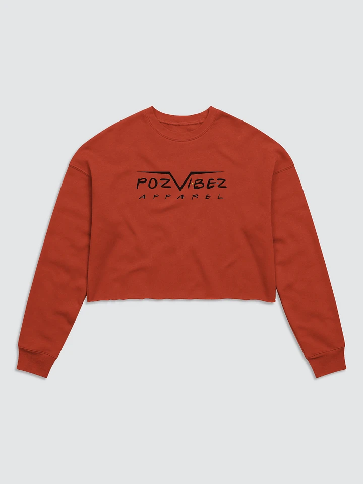 PozVibez Franz Crop Sweater product image (1)