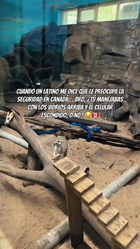 Yo soy esa suricata sorprendida 🫢😂

Y no es que la seguridad no importe, pero cuando ves los números… las ciudades de Canadá ...